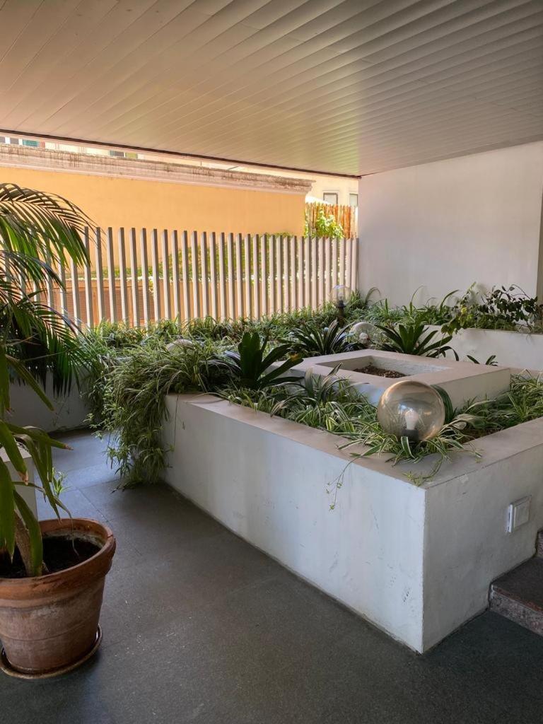 Giulio Cesare Holiday House 로마 외부 사진